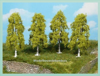 4 Berkenbomen.