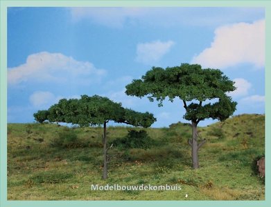 2 Pijnbomen.