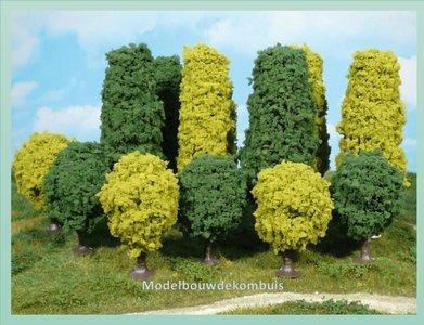 24 Loofbomen.