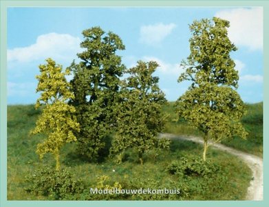 Midgroen Bladeren Bomen Struiken.