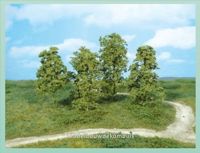 Natuur Bomen Midgroen.