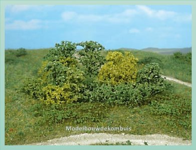 Natuur Bomen Struiken