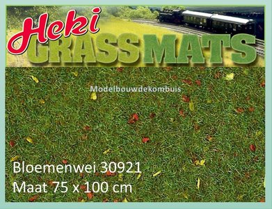 75 x 100 Bloemenwei.