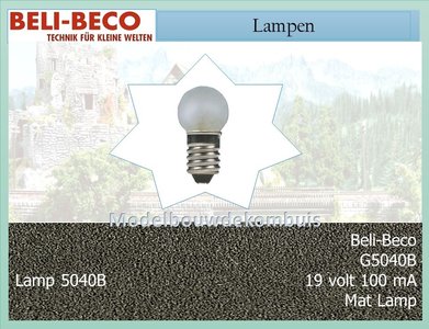 Lampje 19 volt 100 mA. Mat