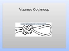 Vlaamse Oogknoop