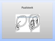 Paalsteek