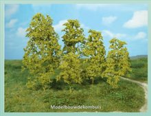 Bomen Natuur Helgroen