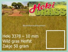 Wild Gras Herfst