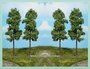 2 Hoge Stambomen