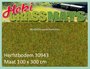 100 x 300 Herfstbodem